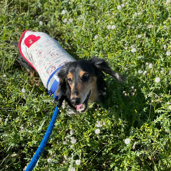 45ebe525 7032 433a bbcf 097e542f5e97 1635049727748