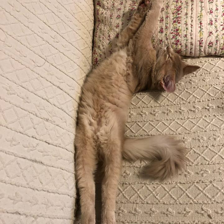 45ebe74e 42a4 4ad6 a9e5 d30e2941e4de 1551686447400