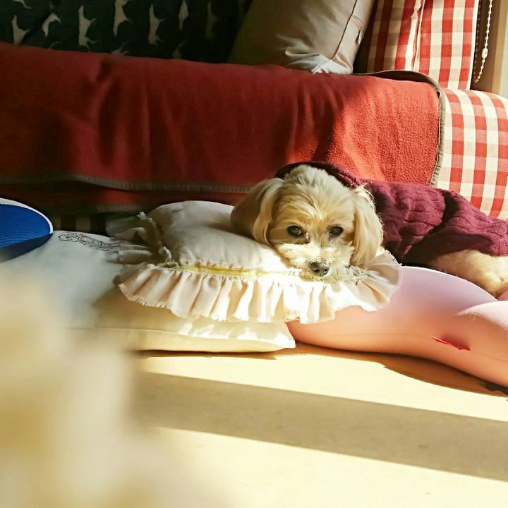 45ebf423 89c1 4acd 8992 6677097760d3 1519448147741