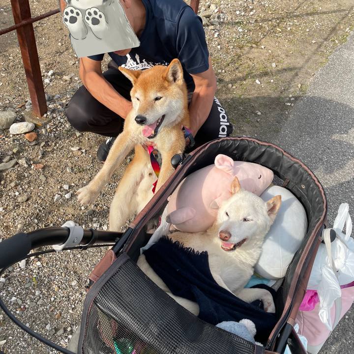 45ec2044 4a3e 4feb 9e29 df90117a757d 1681912262645