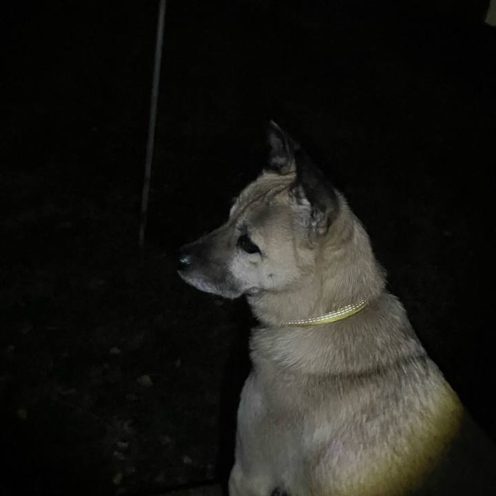 45ec465e 7b26 44d2 8819 5e9ea1e770c0 1643974222752