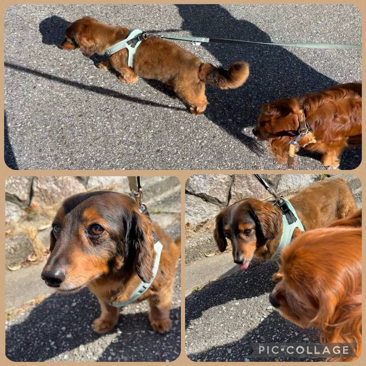 45ec86c3 0312 4d11 8c8e 9a70e318becd 1715988909247