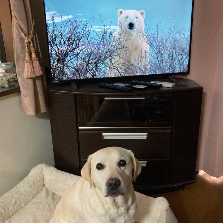 45ec95be c3f7 4df1 977b 416fea7bdf23 1734664772952