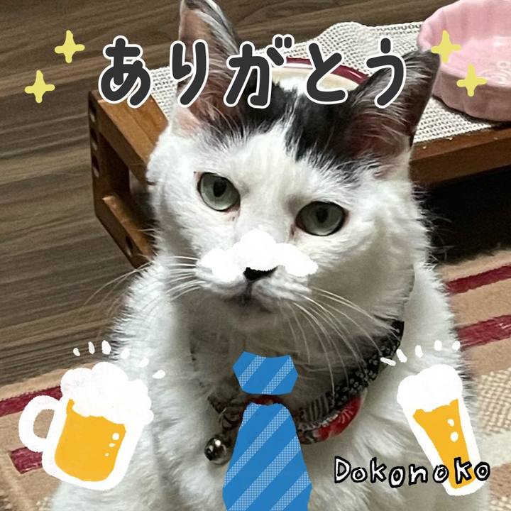 45ec9abf 15dd 4ed0 9ad4 6f52109df848 1717850527924