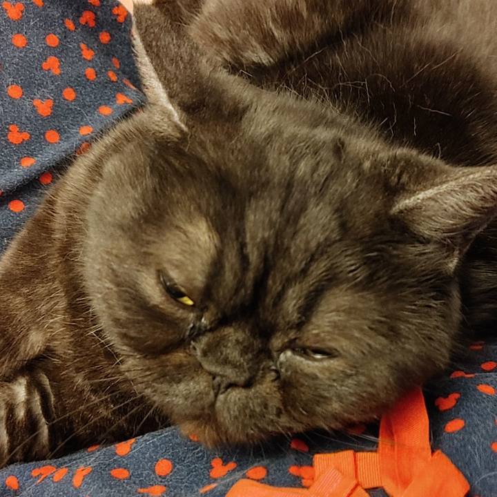 45ec9c59 e8ca 40b3 b767 f557f11dcbaa 1612063677975