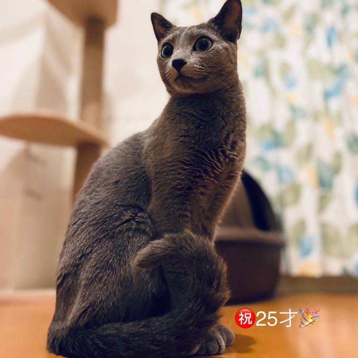 45ecb1b8 ef7d 49fb 8957 00bd8d0f4f2b 1667284584871