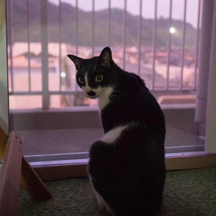 45ecba17 58ca 48c0 ab5b 648f9e005850 1531870919460