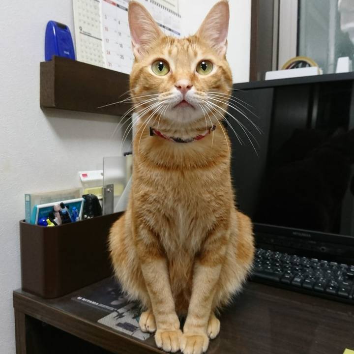 45ecbea0 e928 46af 8f15 ad8f12f36676 1512862032106