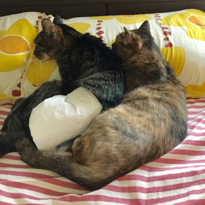 45ed06db ccf3 426e 9234 94b24672bfa6 1692947624984