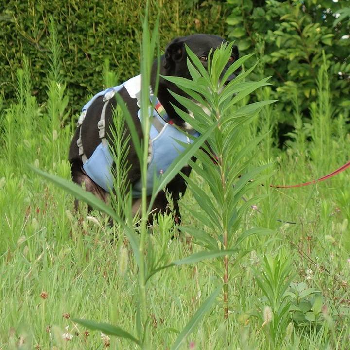 45ed0bdd 5a17 4250 b138 4453e7680cac 1722904846444