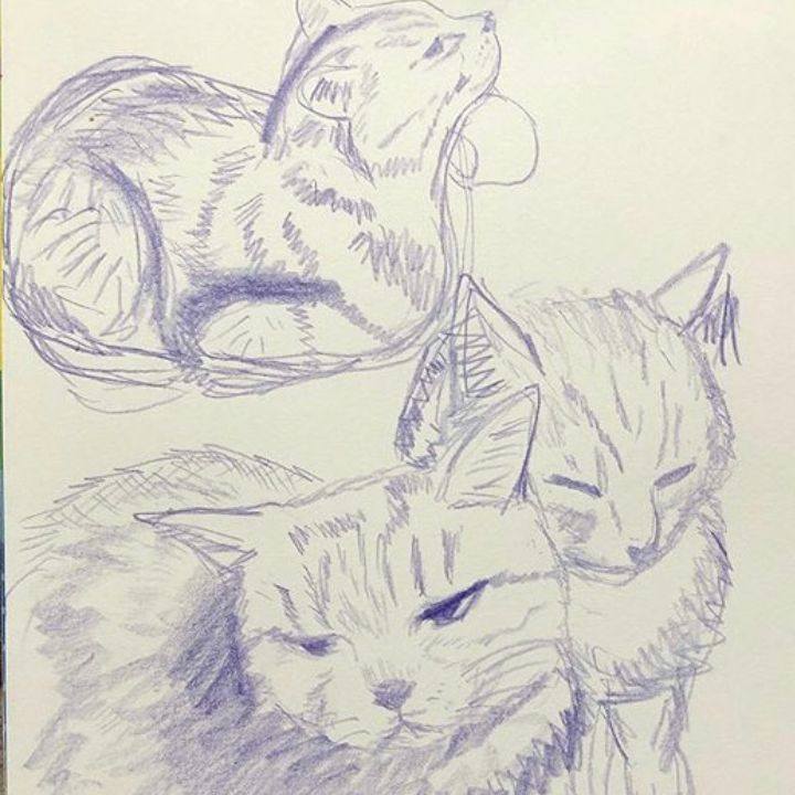 45ed2c7f 3389 497b 89ee 9030fca6a3f3 1630529957826