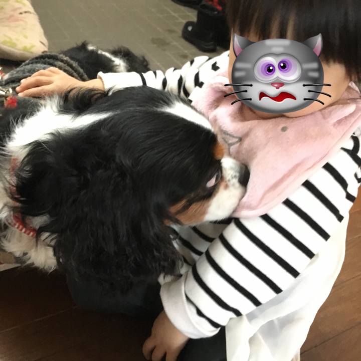 45ed45ce 44cd 463d b6ef 7293a215de69 1515562332625