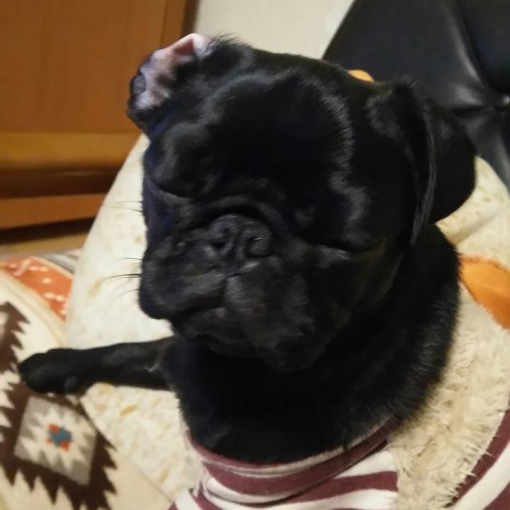 45ed487a 03ab 40ea 800b 167a02f1725e 1519488859969