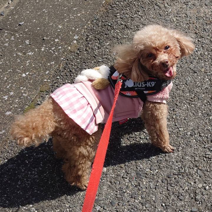 45ed4c8e 9ff7 4ba7 a9ce c5fec16f8298 1740913186072