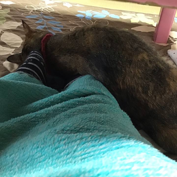 45ed62c6 5e7f 4e50 b830 6fa3783b5de5 1602125499279