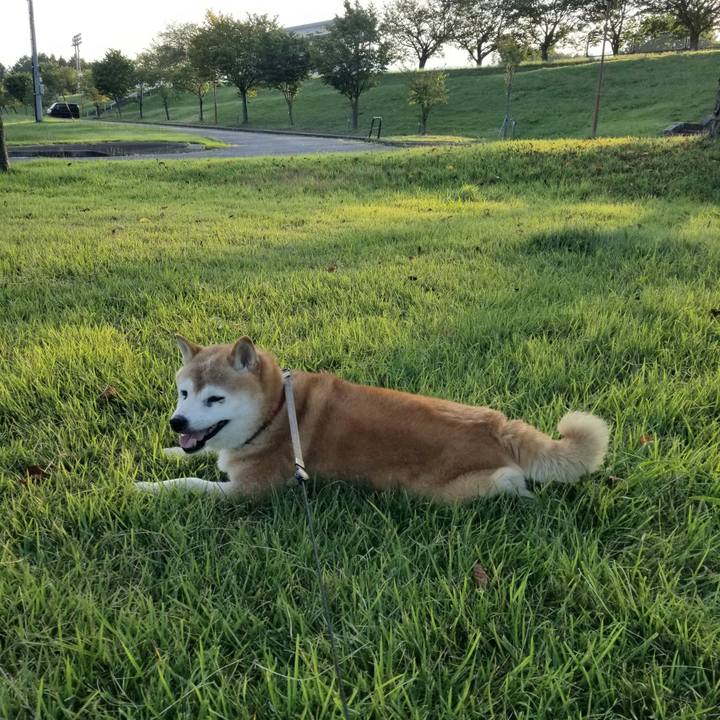 45eda7a8 1122 4967 add8 6d4b1f7a6421 1725610221369