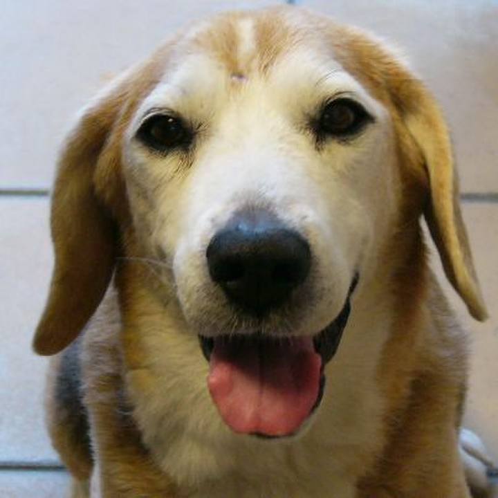 45edc89f 2f42 4599 8929 7166925b2188 1750722134346