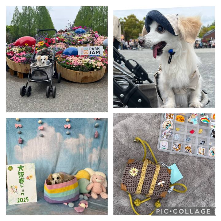 45edc9a0 746f 4188 a00d aec0afc12fc9 1745228769764