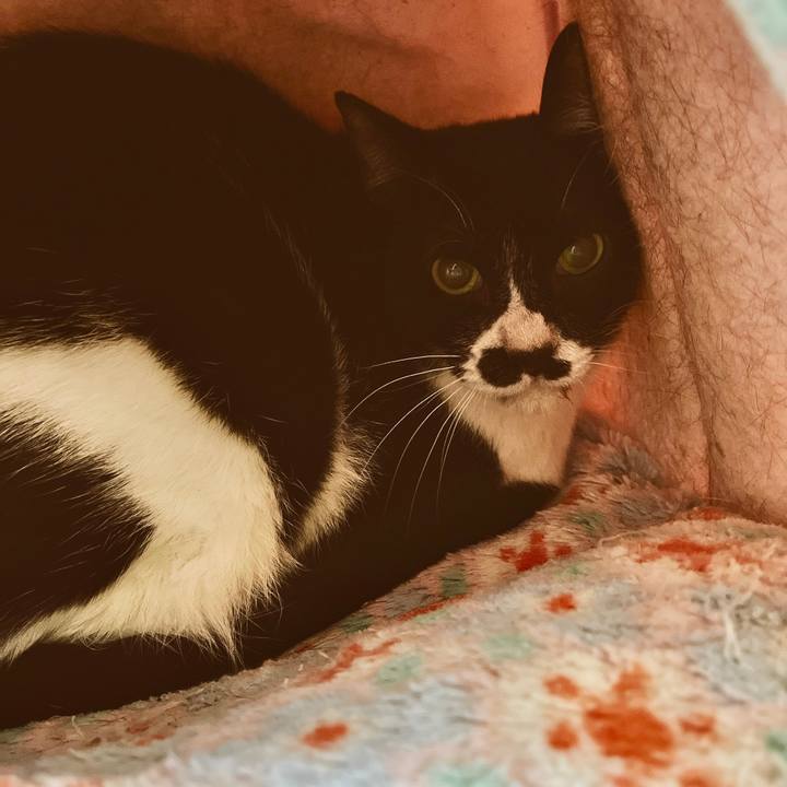 45ede0b8 8b29 428c 87a0 bbf2ce6a8028 1651392628419