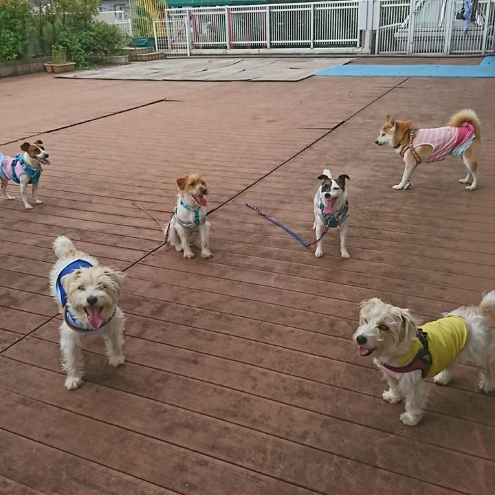 45ee16a7 ba24 456e 8504 6e478744c288 1593498471333