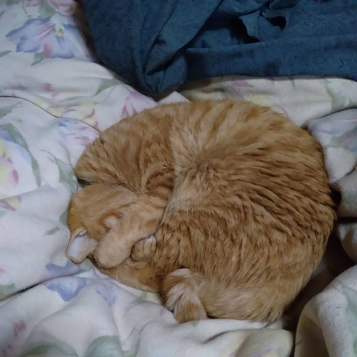 45ee26ab 8aaa 40bf a0a6 89706cd08a7e 1674626148727