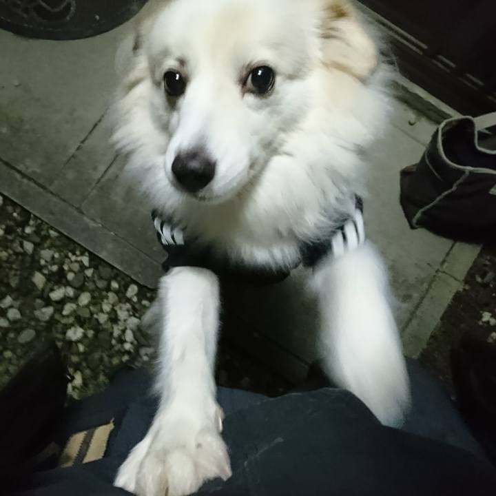 45ee6171 e5c7 4c0b 815b 62bafbc11fe7 1513338508051