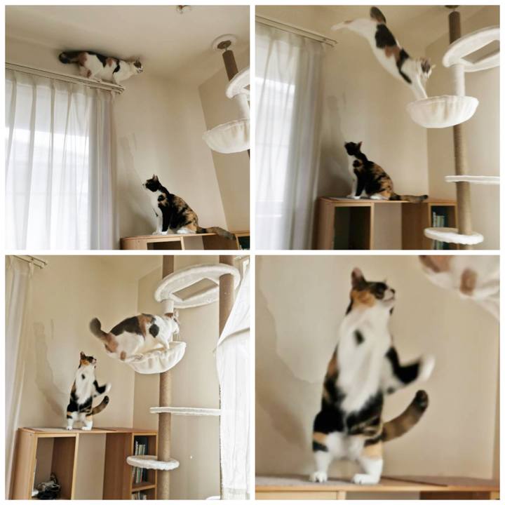 45ee668e b07e 4846 ab77 b823a341d3e5 1629365140184