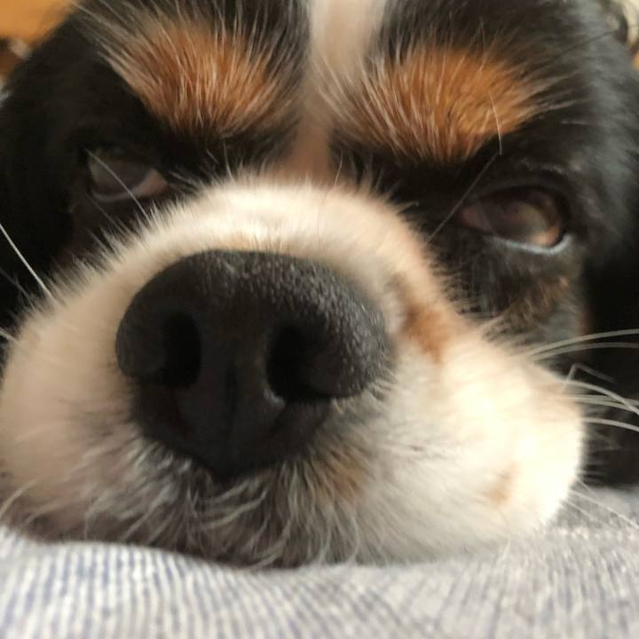 45ee7348 060e 4490 a93f ab551bc67636 1563762952749