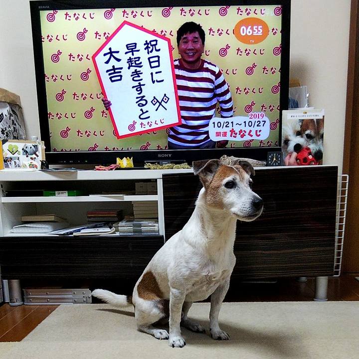 45ee9a52 2e99 446d a589 7a70224d8a79 1571610253514