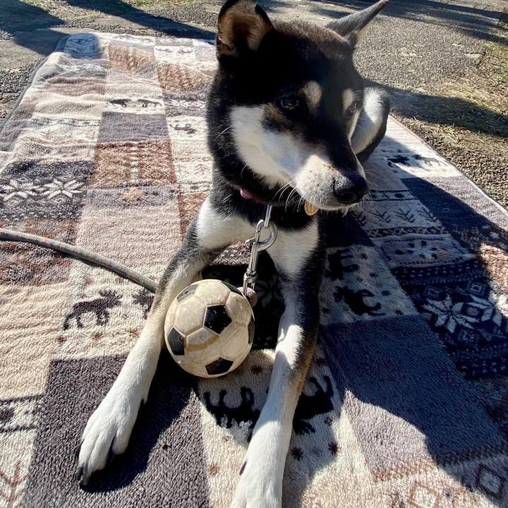 45eea370 753b 4f07 9311 491e5f62b6fb 1641680008604