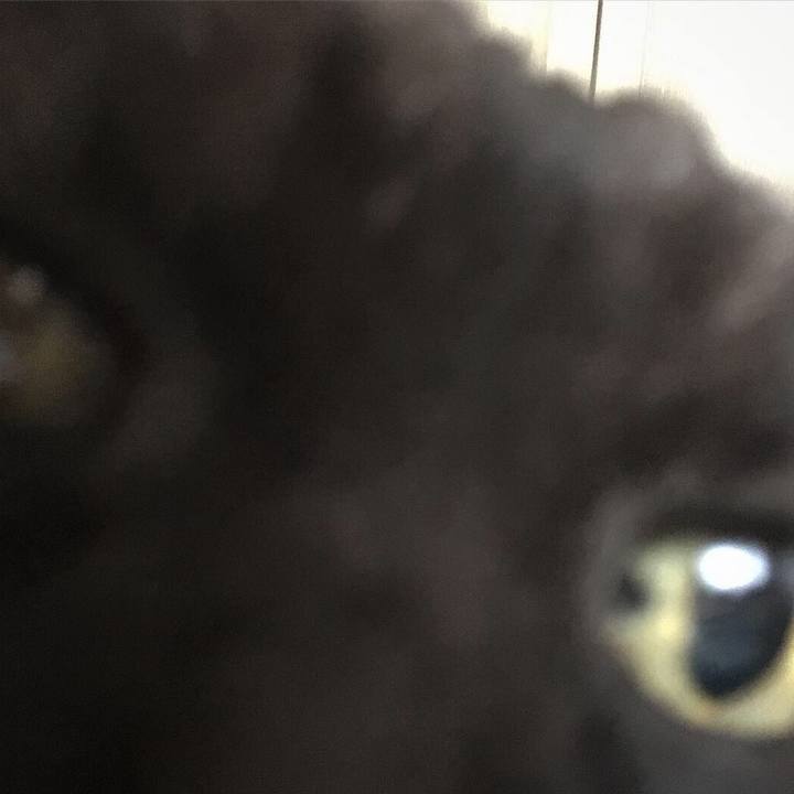 45eebc8d 5be8 41fb ab13 14f430506fd6 1551600637503