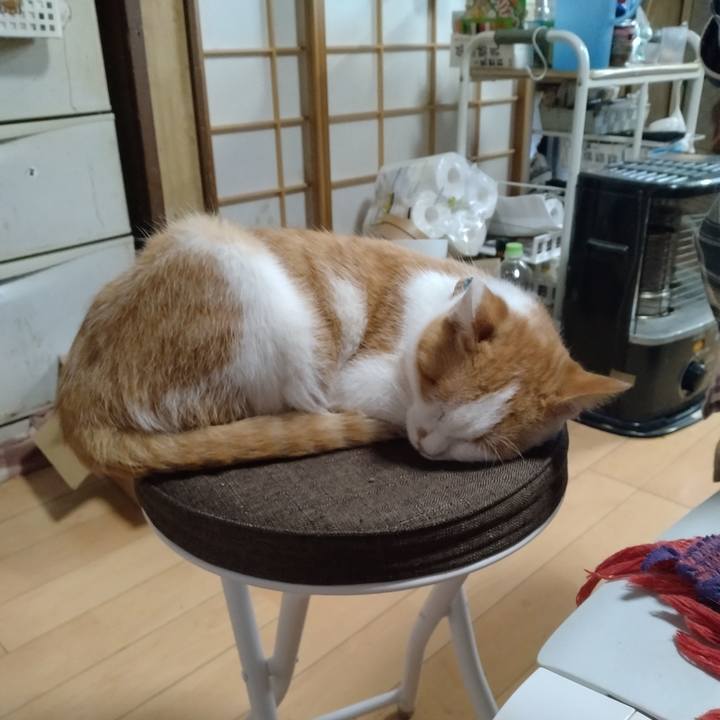 45eec950 40c0 45a8 8940 d26d4f76b27c 1737445191370