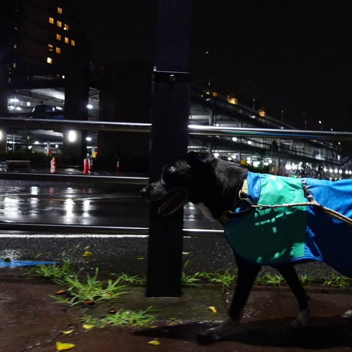 45eec9fd fea0 4d63 ab2c ba5e07bb5eff 1724929353912