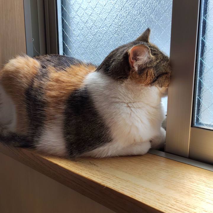 45eecfdb 9b9f 4183 900b 61f559c926d6 1748742327515