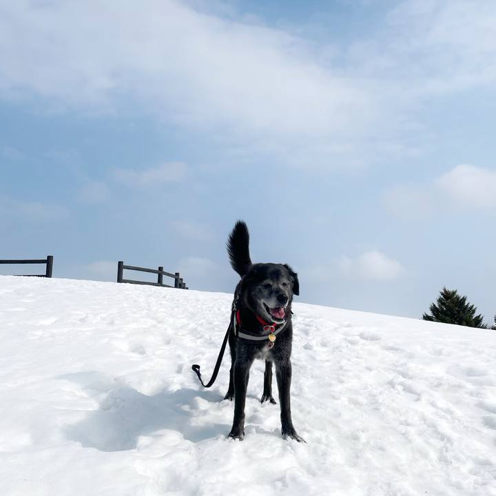 45eed60a fc29 4abe 900d 0287a6bfeb66 1771644724407