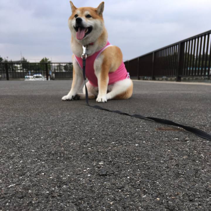 45eee424 d0d1 4a47 a86b 4aa58b054925 1567675375503