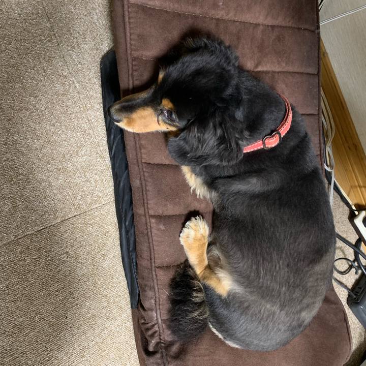 45eeff67 6564 4c9f a910 6d9baac287f8 1562756615652