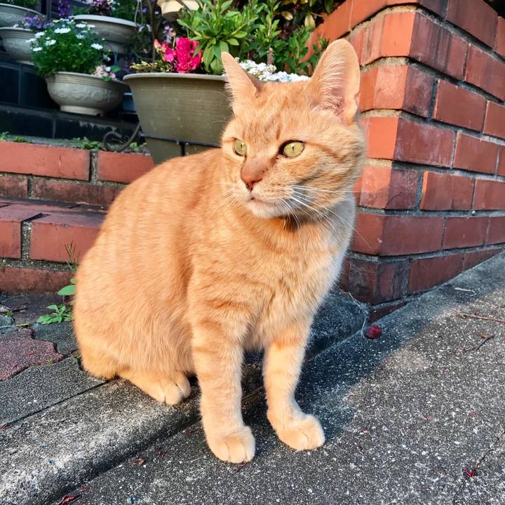 45ef10ce 2b5e 4462 a4f2 f98ab26cc20f 1522153192154