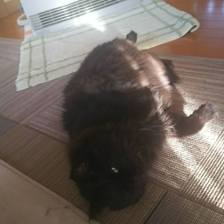 45ef1cdc 7d99 45ca b592 02cdb1583dd2 1545692391340