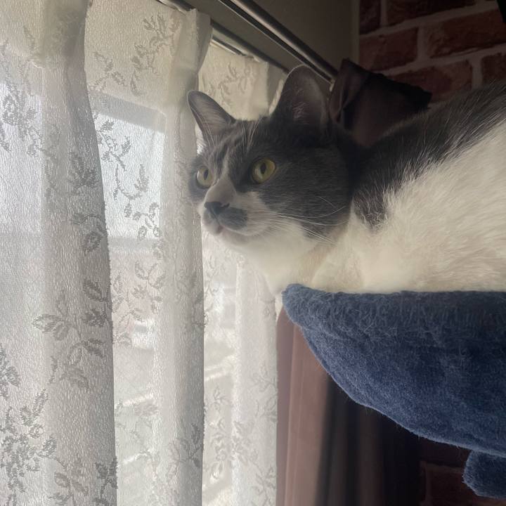 45ef2e20 70e7 405e 945f cc0cbd983186 1694398226876