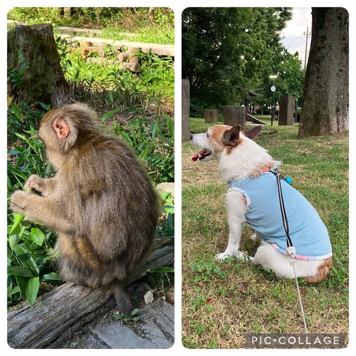 45ef46f7 74a1 48bc be14 a22bc84acaf6 1722813924927