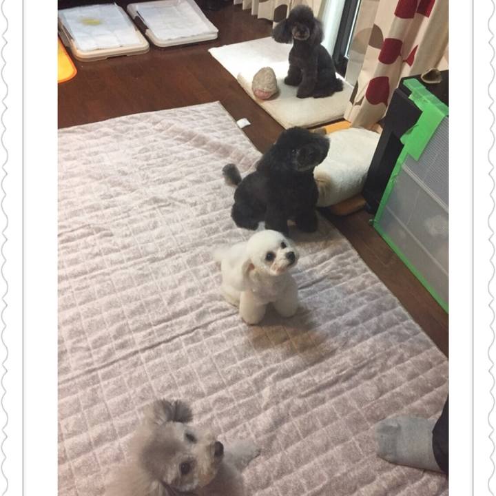 45ef54ec c6d8 4e5f 9af7 4d5e7b939d96 1546082897661