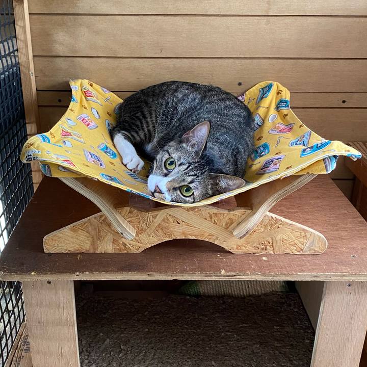 45efb0bc 51ed 4803 bffb 38fe0539fce9 1659223489713