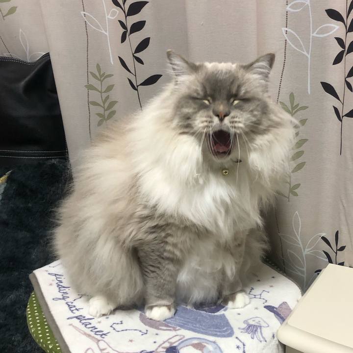 45efc071 5b60 4912 9995 60a3a4a9a252 1547295231981