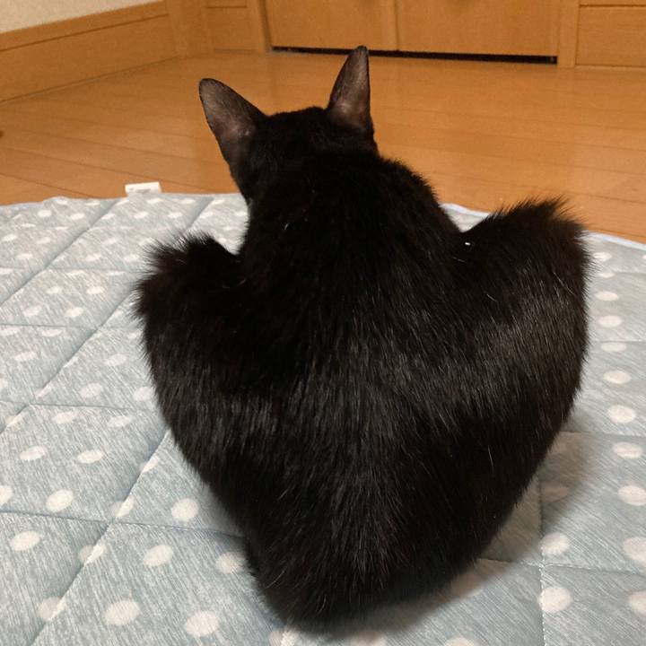 45efc650 235f 4b16 a438 cd312692b829 1692630360008