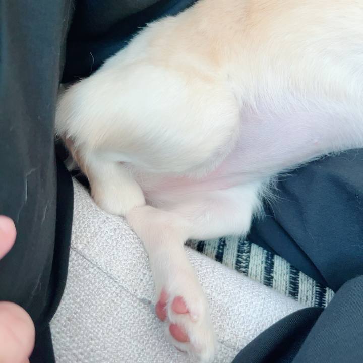 45efdf60 2745 4018 8517 4c779f32bf99 1685434920251