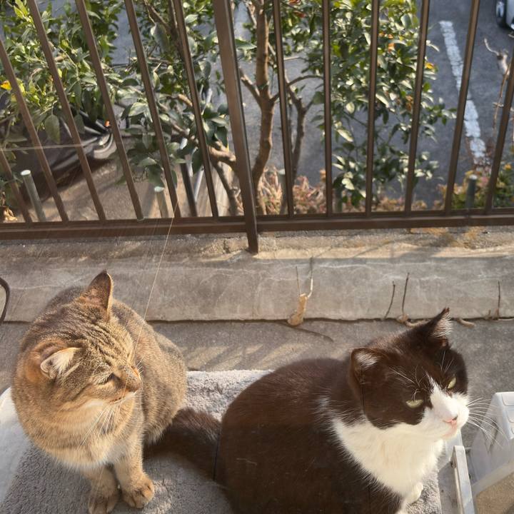 45effacf be04 4d6f be08 9c926d5cacf9 1771919044745