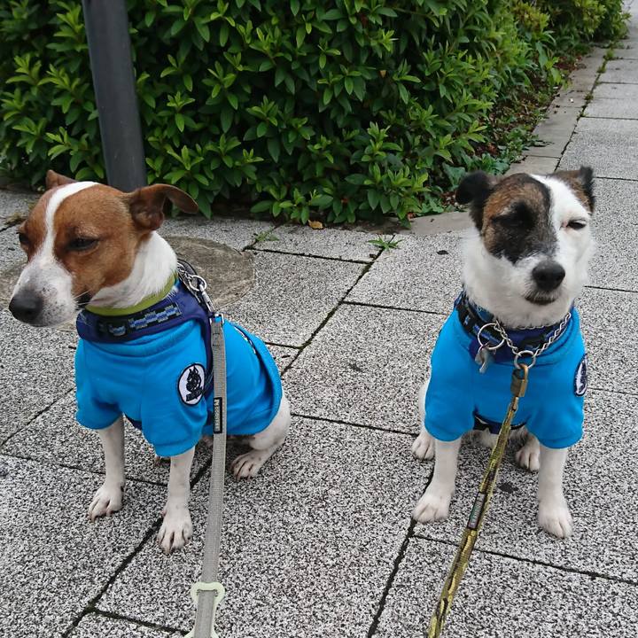 45effeda ae78 4970 be10 227fa6606db6 1591219732450