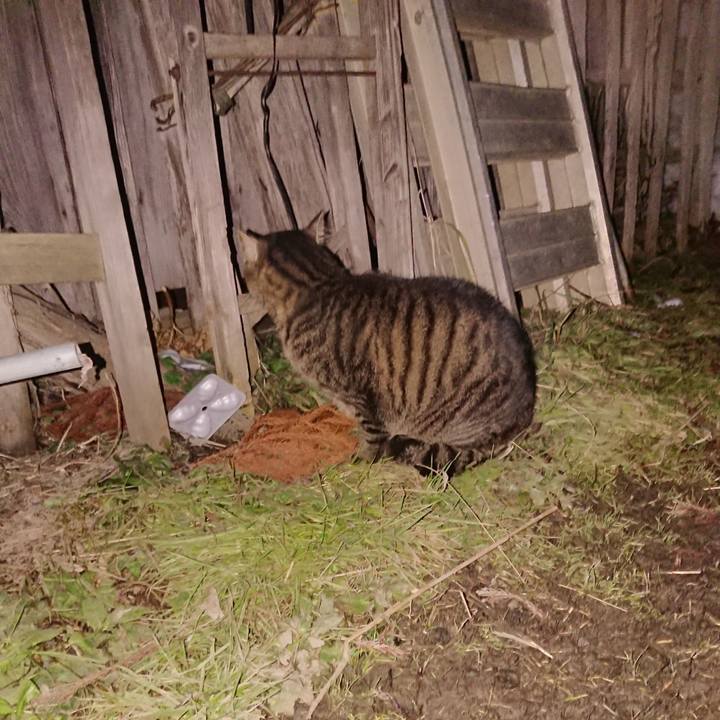 45f00d6b 71a8 4d3c 83e8 cfd5636725a7 1614596807065