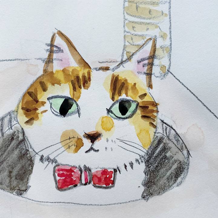 45f00fd7 50ac 468e aa2a c09c9b571e2f 1603407181557